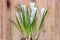 White crocus flowers green plant, spring time, wood background