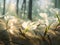 White crocuses in the forest close view AI generated art