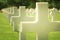 White cross grave closeup, Normandy American Cemetery, France. Selective focus