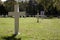 White crosses on military cemetery