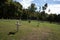 White crosses on military cemetery