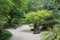 A white crushed stone path through a tree filled garden with varying shades of green foliage i
