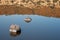 WHITE CRUSTY DEPOSIT AROUND ROCKS IN THE WATER OF A MINERAL LAKE AT THE BOTTOM OF A METEOR CRATER