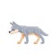 White cub wolf for a walk. Cartoon character of a dangerous mammal animal. A wild forest creature with gray fur. Side