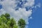 white Cumulus clouds on a blue sky background crown of green tre