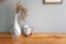 White cup chinese graphic put beside A white vase with dried flowers and chair stainlass on a wood table. grey wall in living room