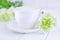 White cup of coffee cappuccino and green cloves flowers on a white background