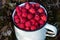 A white cup full of ripe and delicious Wild rasberries