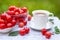 A white cup of hot tea with apples of paradise in the morning in the garden, with a blurred natural background