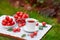 A white cup of hot tea with apples of paradise in the morning in the garden, with a blurred natural background