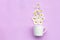 White cup of hot tea with chamomile flowers on on a pink background, mug of aroma healing drink