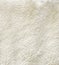 White curled sheep fur