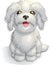 White cute Maltese lapdog puppy vector illustration