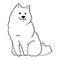 White cute smiling samoyed dog doodle sketch