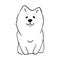 White cute smiling samoyed dog doodle sketch