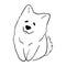 White cute smiling samoyed dog hand drawn vector llustration doodle. Puppy cartoon character design outline sketch