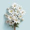 white daisies in the shape of a cross, white frame background on pale blue