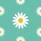 White daisy chamomile. Cute flower plant collection. Camomile icon Growing concept. Seamless Pattern Wrapping paper, textile templ