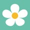 White daisy chamomile. Cute flower plant collection. Camomile icon. Love card. Growing concept. Flat design. Green background. Iso