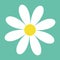 White daisy chamomile. Cute flower plant collection. Camomile icon. Love card. Growing concept. Flat design. Isolated. Green backg