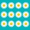 White daisy chamomile icon emoji set set. Funny kawaii cartoon characters. Emotion collection.