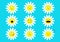 White daisy chamomile icon emoji set set. Funny kawaii cartoon characters. Emotion collection. Happy, surprised, smiling, crying,