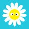 White daisy chamomile with smiling face head. Cute flower plant collection. Love card. Cute cartoon funny character. Camomile icon