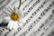 White Daisy Flower on Music Notes Sheet