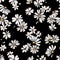 White daisy flower print - seamless vector background