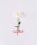 White daisy flower with vibrant adhesive tape on soft white background. Minimal valentine`s or woman`s day concept