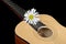 White daisy on guitar