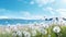 White dandelions on the beach background