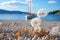 White dandelions on the beach background