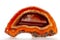 White, dark and light orange and red semi-transparent agate slice crystal, banded chalcedony stone isolated on a white background