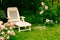 White deckchair in the garden among pink roses, romantic settings