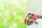 White decorative lattice for plant with pink petunias flowers on a background of natural blurred summer green foliage