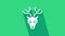 White Deer head with antlers icon isolated on green background. 4K Video motion graphic animation