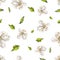 White delicate flowers with green leaves isolated on white background. Handwork draw. Seamless pattern for design