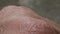 White detailed caucasian human skin on fist closeup in macro