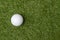 White dimple hockey ball on green grass. Professional sport concept