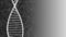 White dna strands and genetic spiral rotating on dark grey gradient background