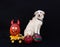 white dog, a children\\\'s toy car loaded with colorful pumpkins