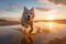 White dog dashing across the sandy shore as the sun sets in a spectacular burst of colors. Ai generated