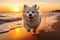 White dog dashing across the sandy shore as the sun sets in a spectacular burst of colors. Ai generated