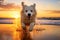 White dog dashing across the sandy shore as the sun sets in a spectacular burst of colors. Ai generated