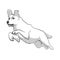 White Dog is jumping. Active dog. Stock Vectors