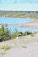 White dog, purebred Saluki sighthound, standing free in the nature with lake or pond in the back. Persian Greyhound enjoying life