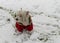 A white dog in red clothes walks in the park in the snow. Jumpsuit for dogs. Favorite pet
