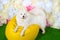 White dog samoyed laying on yellow chair