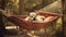 White dog sleeping in hammock